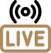 Live Streaming Cameras